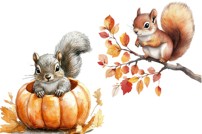 Watercolor Autumn Fall Squirrels Clipart Bundle Cute Woodland PNG