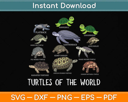 Celebrate Diversity Tortoise Stuff Sea Turtle Lovers Svg Png Dxf Digital Cutting File