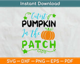 Cutest Pumpkin In The Patch Svg Design Cricut Printable Cutting Files