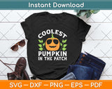 Kids Pumpkin Patch Boys or Girls Fall Coolest Pumpkin Halloween Svg Png Dxf Cutting File