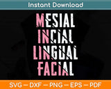 Mesial Incisal Lingual Facial Funny Dental Svg Png Dxf Digital Cutting File