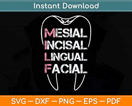 Mesial Incisal Lingual Facial Funny Dental Svg Png Dxf Digital Cutting File